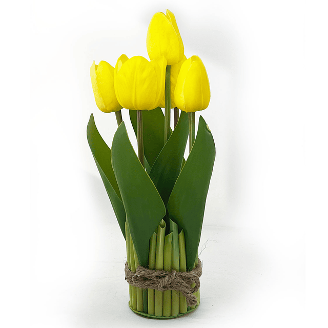 Arreglo Tulipanes 28 cm