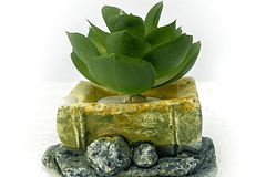 Mini Arreglos de Suculentas - Plantas Artificiales 10 cm