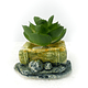 Mini Arreglos de Suculentas - Plantas Artificiales 10 cm