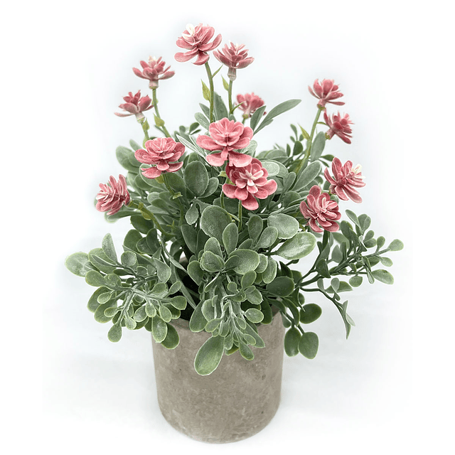 Arreglo floral de 25 cm en macetero de hormigón 