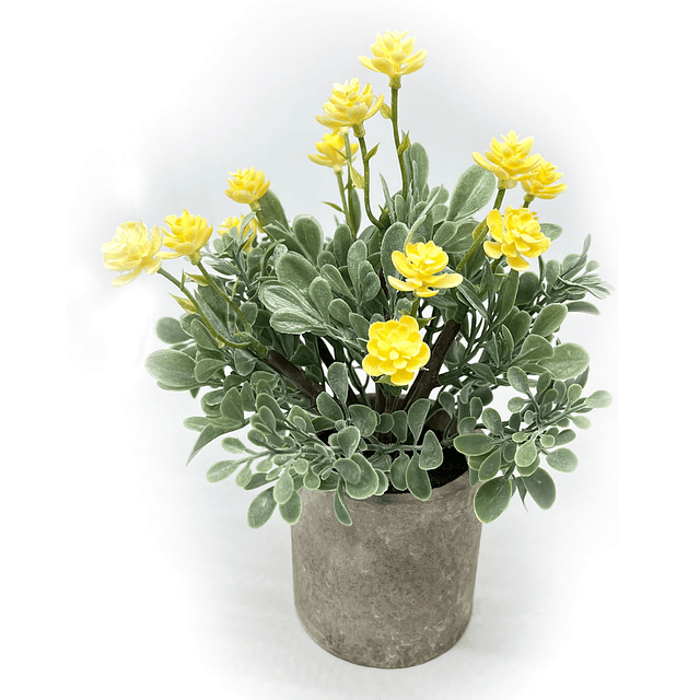 Arreglo floral de 25 cm en macetero de hormigón 