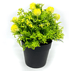 Arreglo macetero con flores artificiales - Isopogón 20 cm