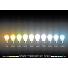 Foco Panel Plafón Led Bicolor Empotrado 18w + 6w Redondo 4