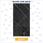 Plancha PVC Tipo Mármol Black Line Gold 122x244cm x 2,5mm 1