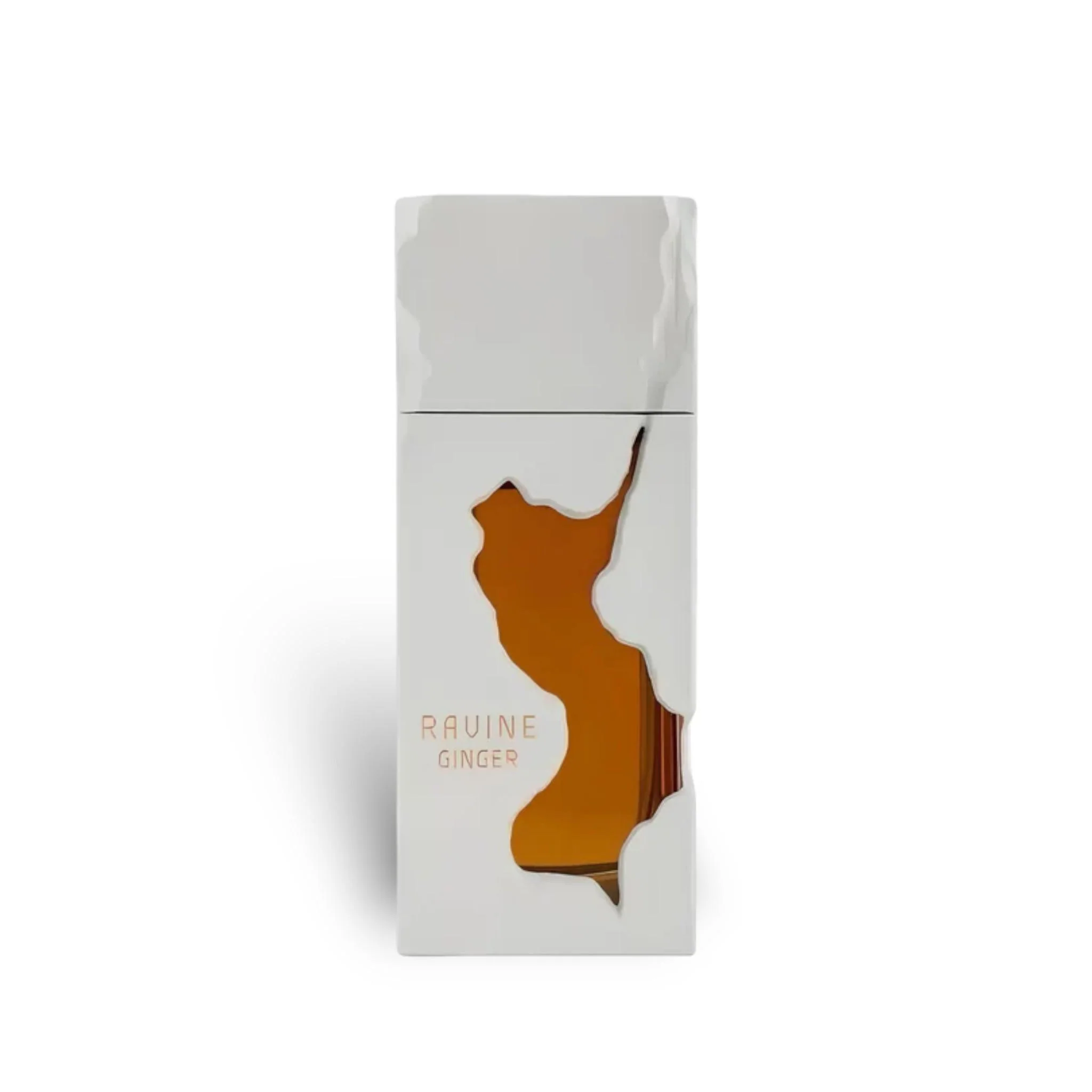Perfume French Avenue Ravine Ginger EDP 100 ml Unisex 1