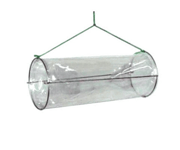 Covo p/ Isca de Plástico Transparente - Narciso