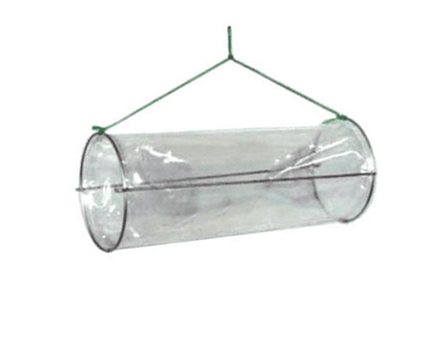 Covo p/ Isca de Plástico Transparente - Narciso