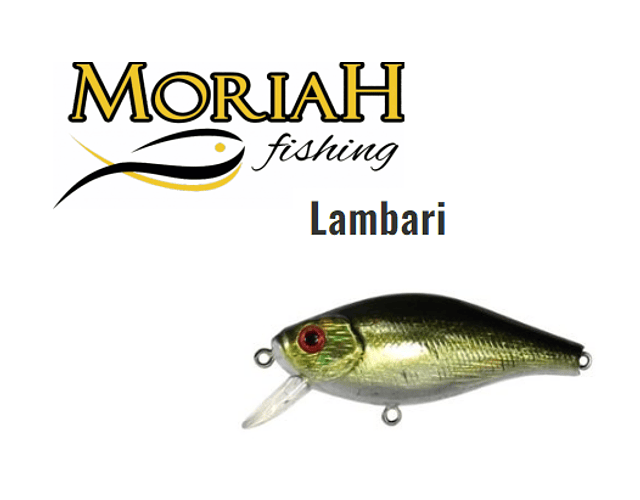 Isca Artificial Moriah - Lambari