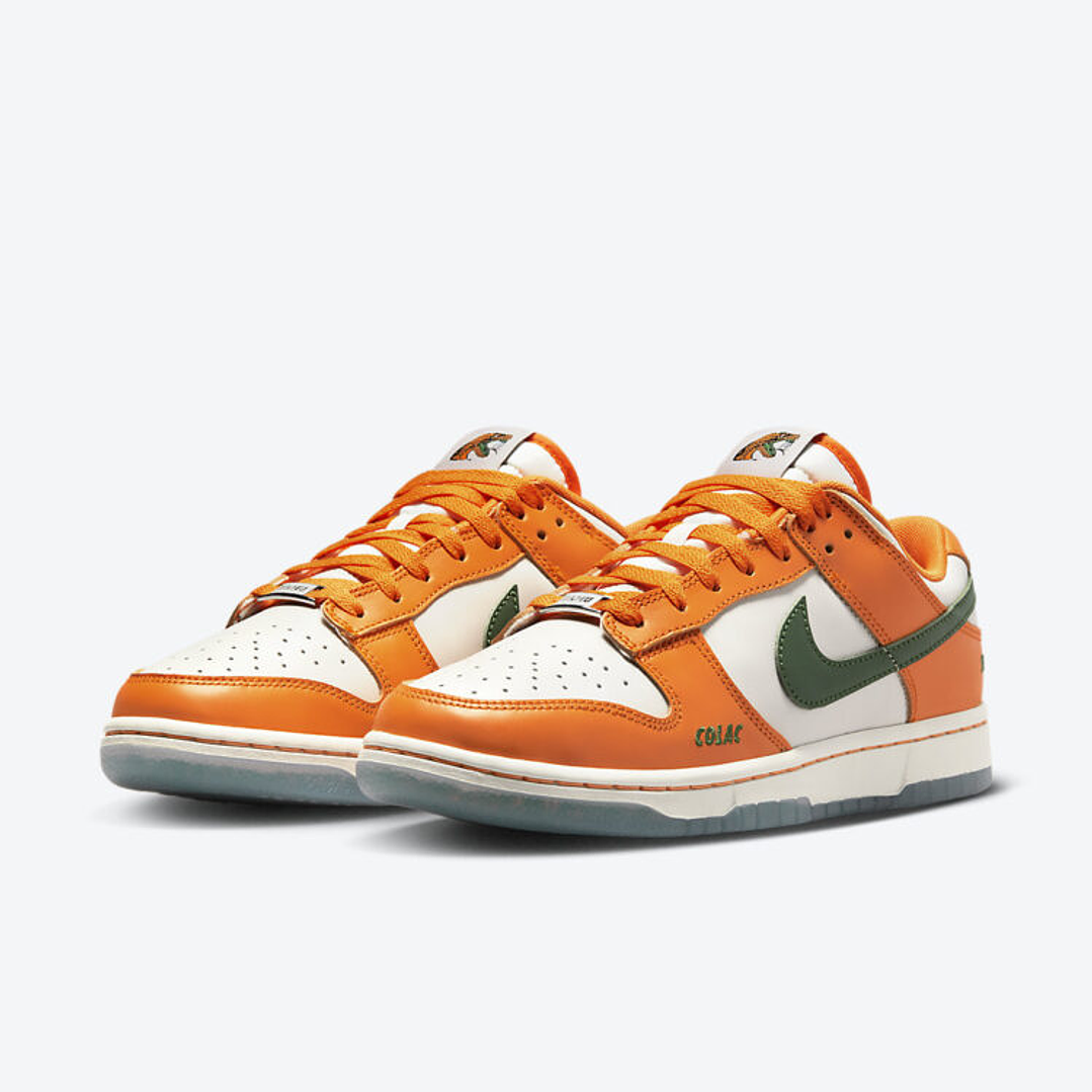 Nike Dunk Low FAMU 5