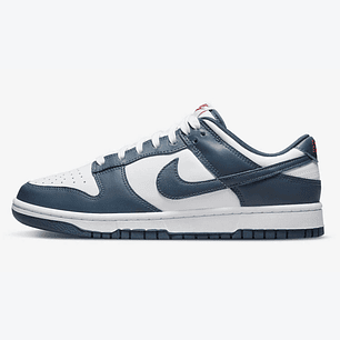 Nike Dunk Low Retro Valerian Blue