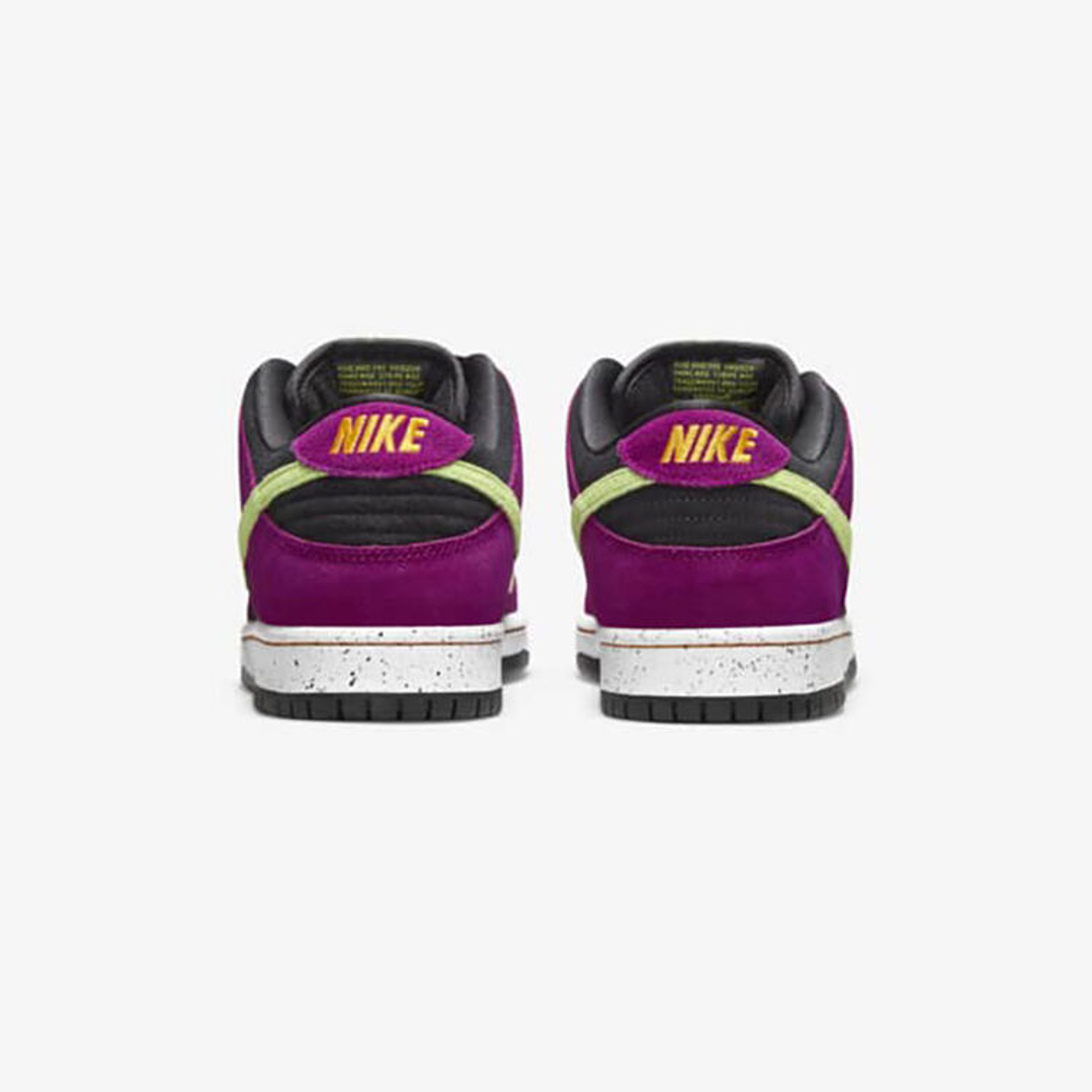 Nike SB Dunk Low Pro ACG Terra Red Plum 5