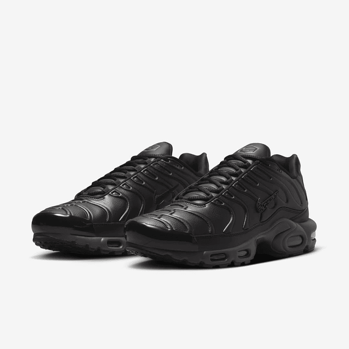 Nike Air Max Plus Premium Paris 2