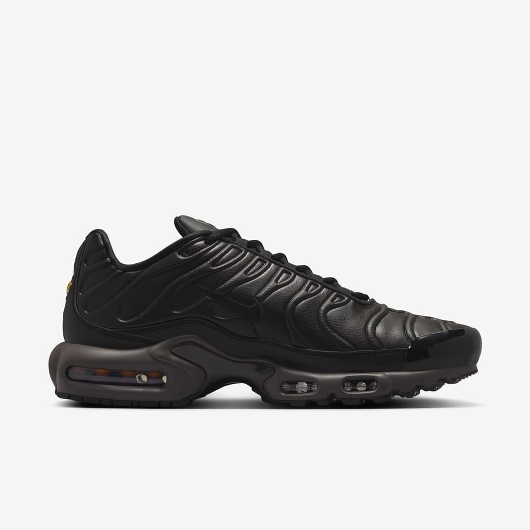 Nike Air Max Plus Premium Paris 3