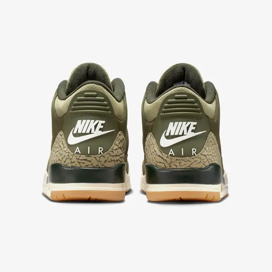 Jordan 3 Retro Family Affair 2