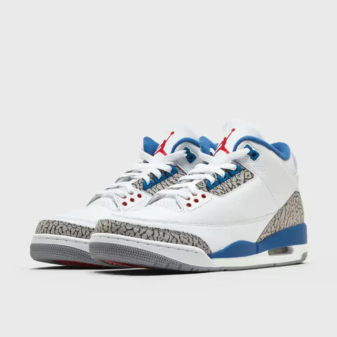 Jordan 3 Retro True Blue (2026) 4