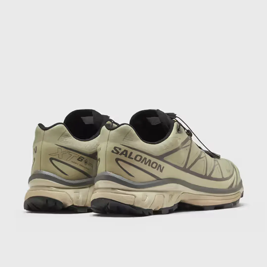 Salomon XT-6 Gore-Tex White Pepper Silver Sage 2