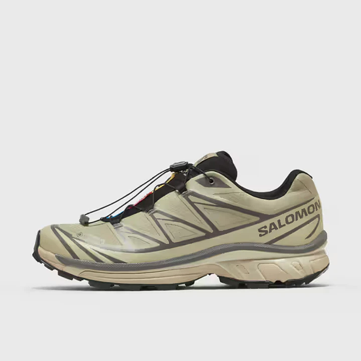 Salomon XT-6 Gore-Tex White Pepper Silver Sage 1