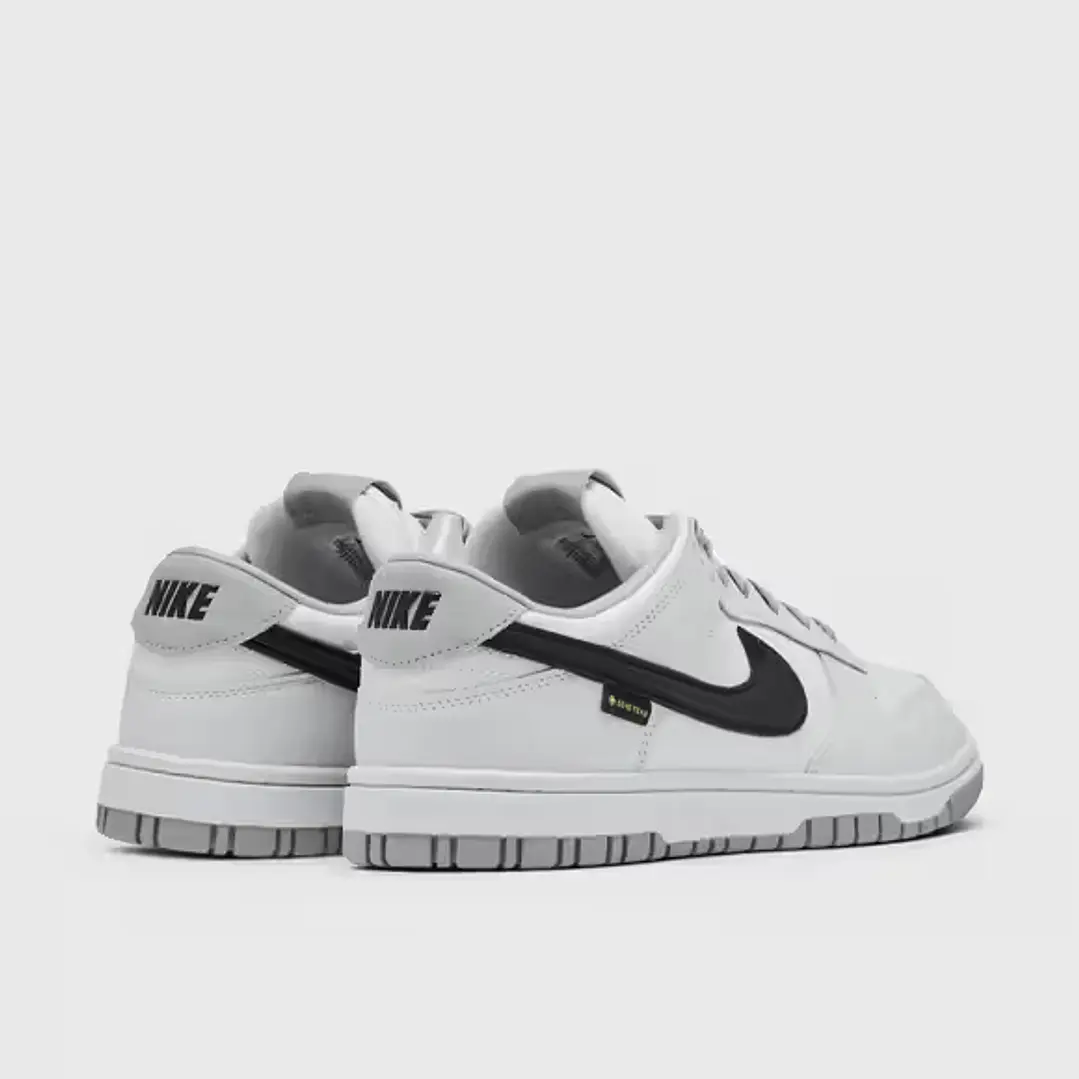 Nike Dunk Low Gore-Tex Summit White Light Smoke Grey 2