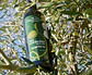 750ml Bottle of Premium Organic Extra Virgin Olive Oil from Casa dos Poços - thumbnail 4
