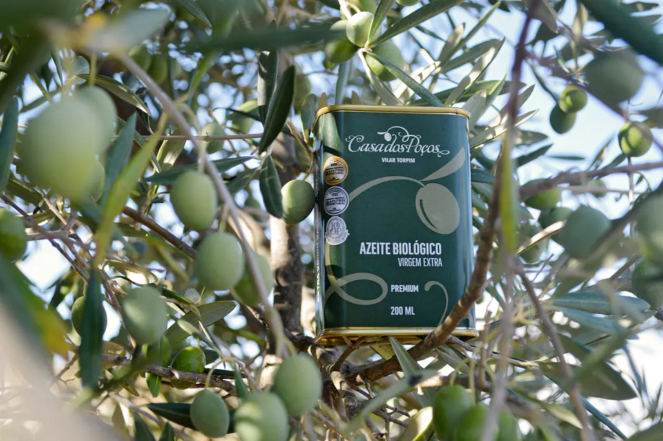 Lata 200ml Azeite Bio Virgem Extra Premium Casa dos Poços 3