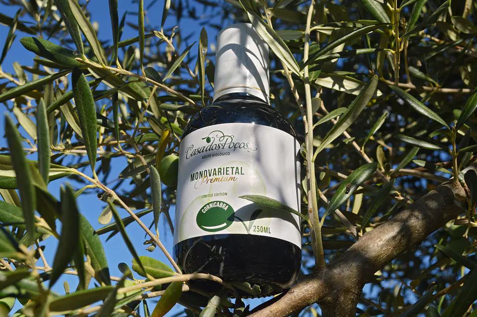 Garrafa 250ml Azeite Bio Virgem Extra Monovarietal Casa dos Poços 2