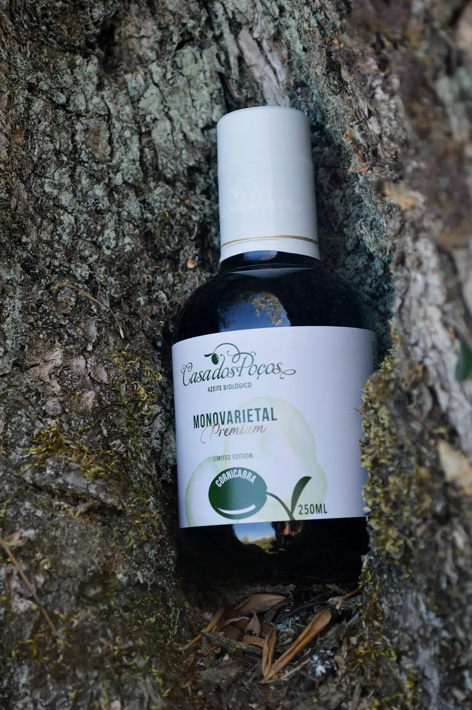 Garrafa 250ml Azeite Bio Virgem Extra Monovarietal Casa dos Poços 4