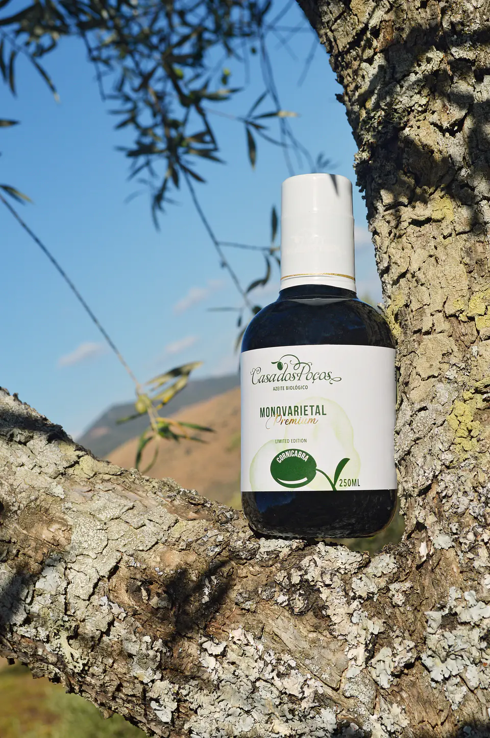 Garrafa 250ml Azeite Bio Virgem Extra Monovarietal Casa dos Poços 3