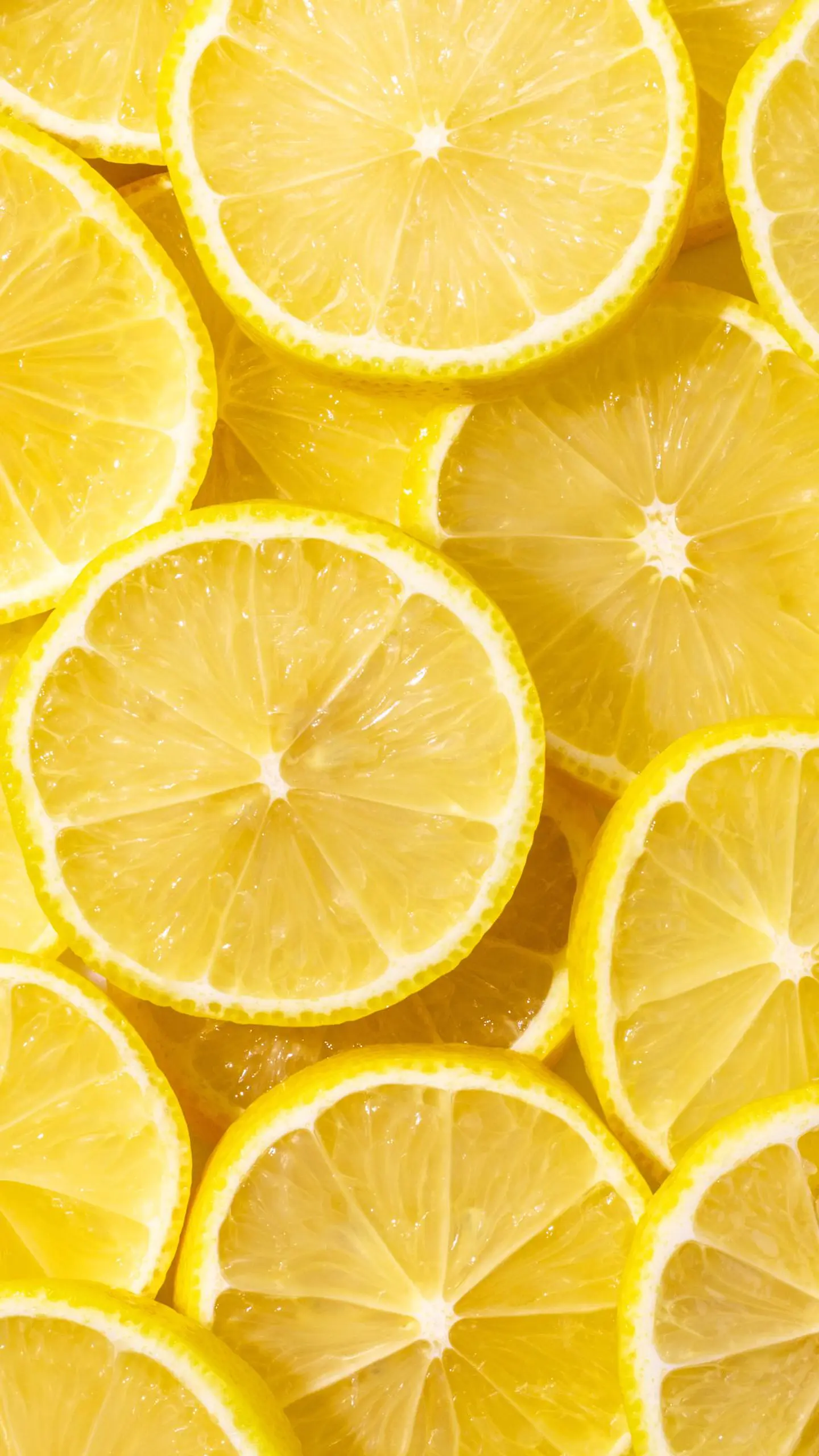 Vela Lemon Pie 2
