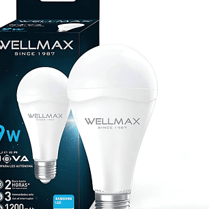 Ampolleta De Emergencia 9W Luz Fria