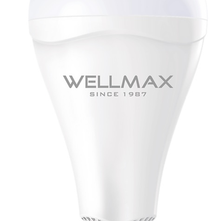 Ampolleta De Emergencia 9W Luz Fria 2