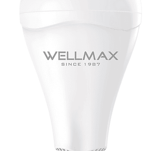 Ampolleta De Emergencia 9W Luz Fria