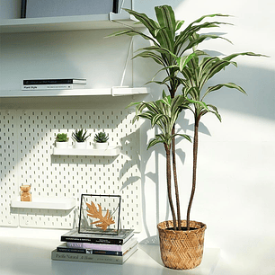 Planta Art. Palo De Agua 102 Cm