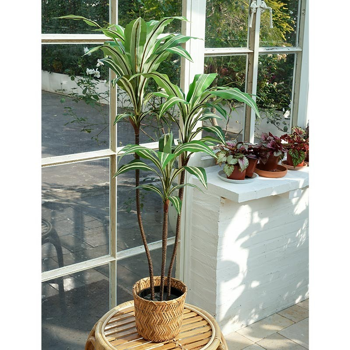 Planta Art. Palo De Agua 102 Cm 3