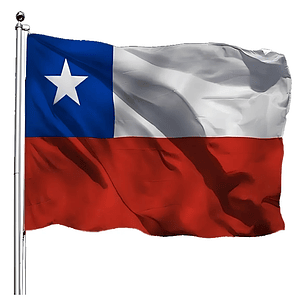 Bandera Chilena 140X210 Estrella Bordada