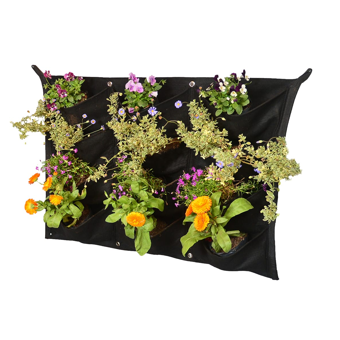 Jardin Vertical 12 Bolsillos 1