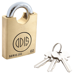 Candado Profesional Mod. 260 Bronce Forjado 60 Mm Display