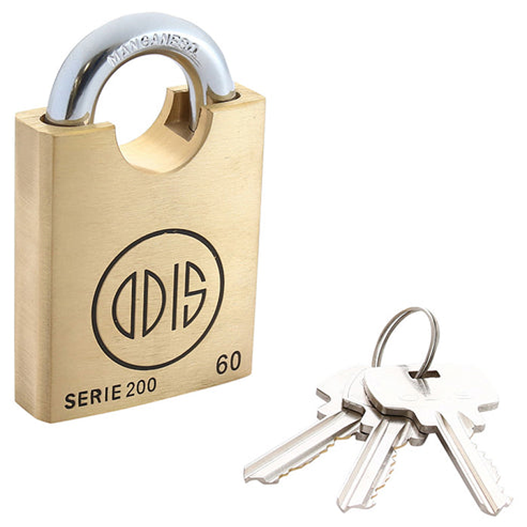 Candado Profesional Mod. 260 Bronce Forjado 60 Mm Display 1