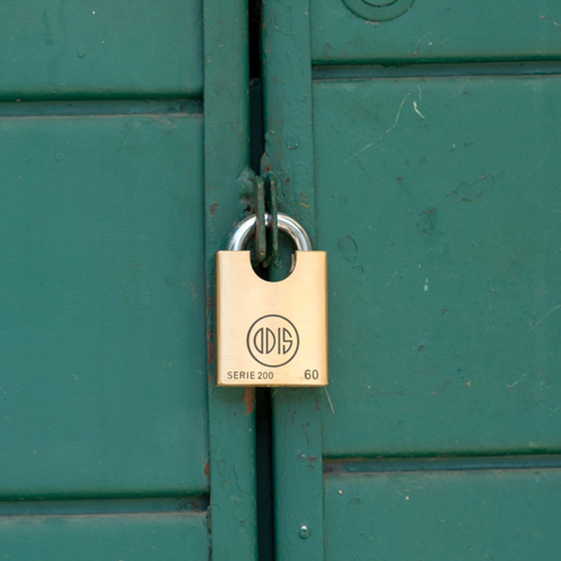 Candado Profesional Mod. 260 Bronce Forjado 60 Mm Display 2