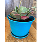 Macetero Bio Curvo Turquesa - Miniatura 2