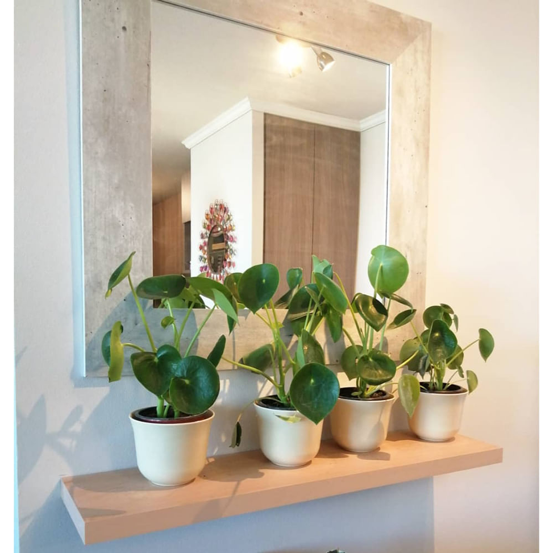 Macetero Bio Curvo Blanco 3