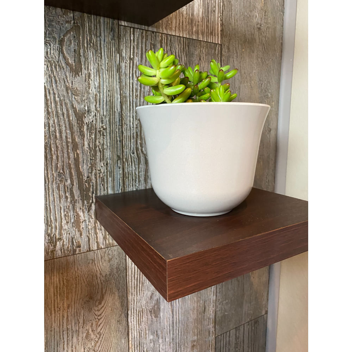 Macetero Bio Curvo Gris 2