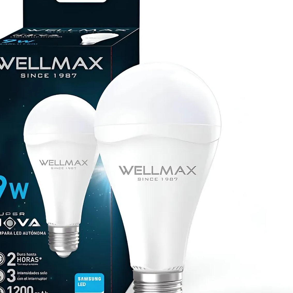 Ampolleta De Emergencia 9W Luz Fria 1