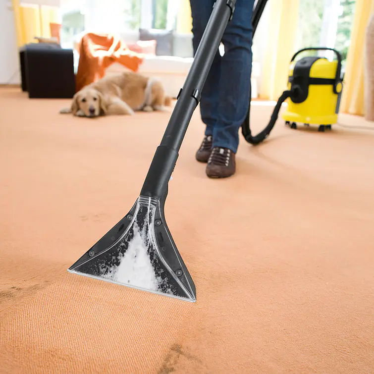 Lavaspiradora Se 4001*Eu 4