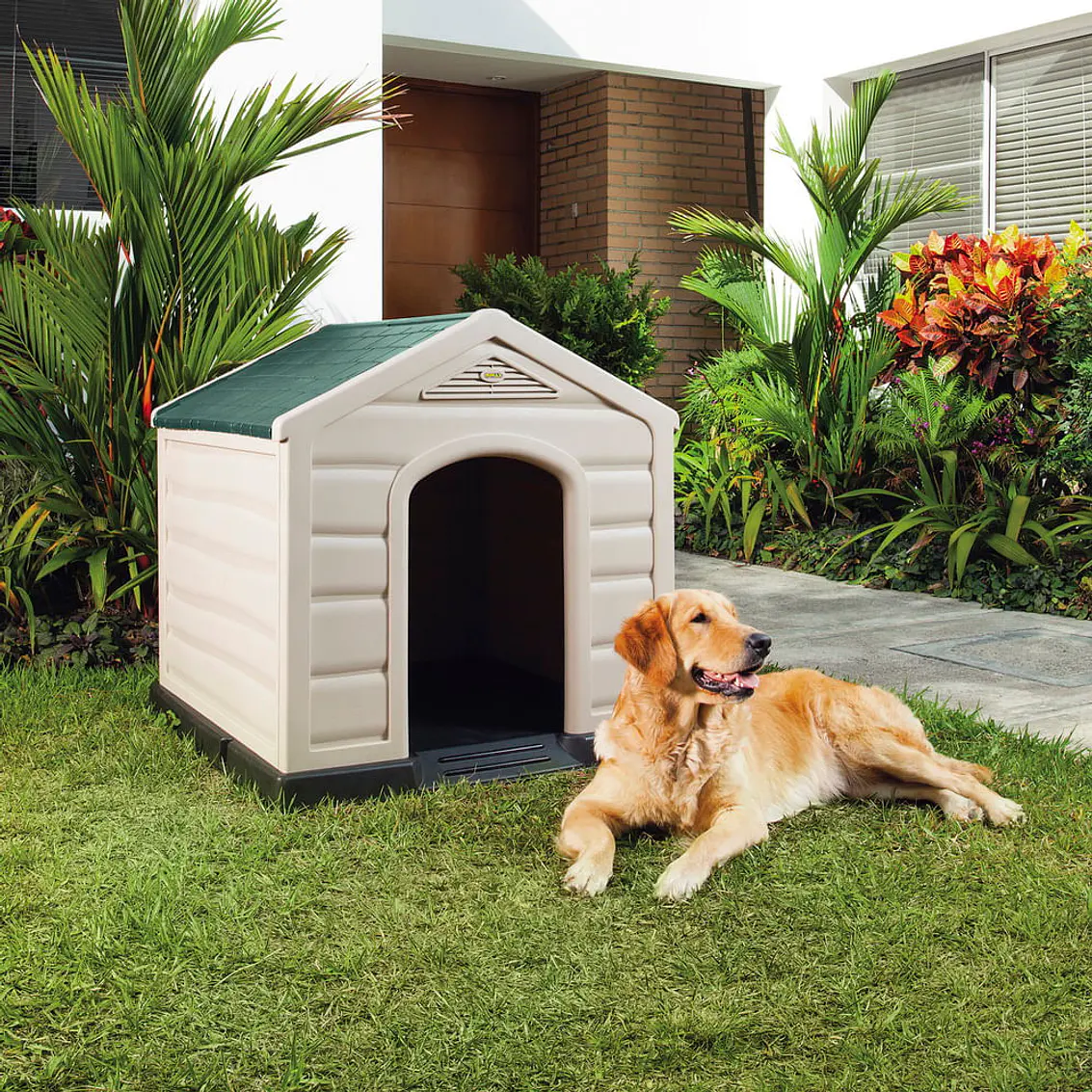 Casa Para Perro Grande 2
