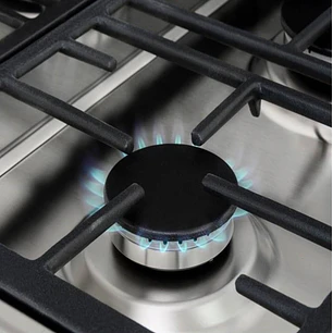 Encimera Gas Ex-60.1 4G Ai Al Dr Ci But