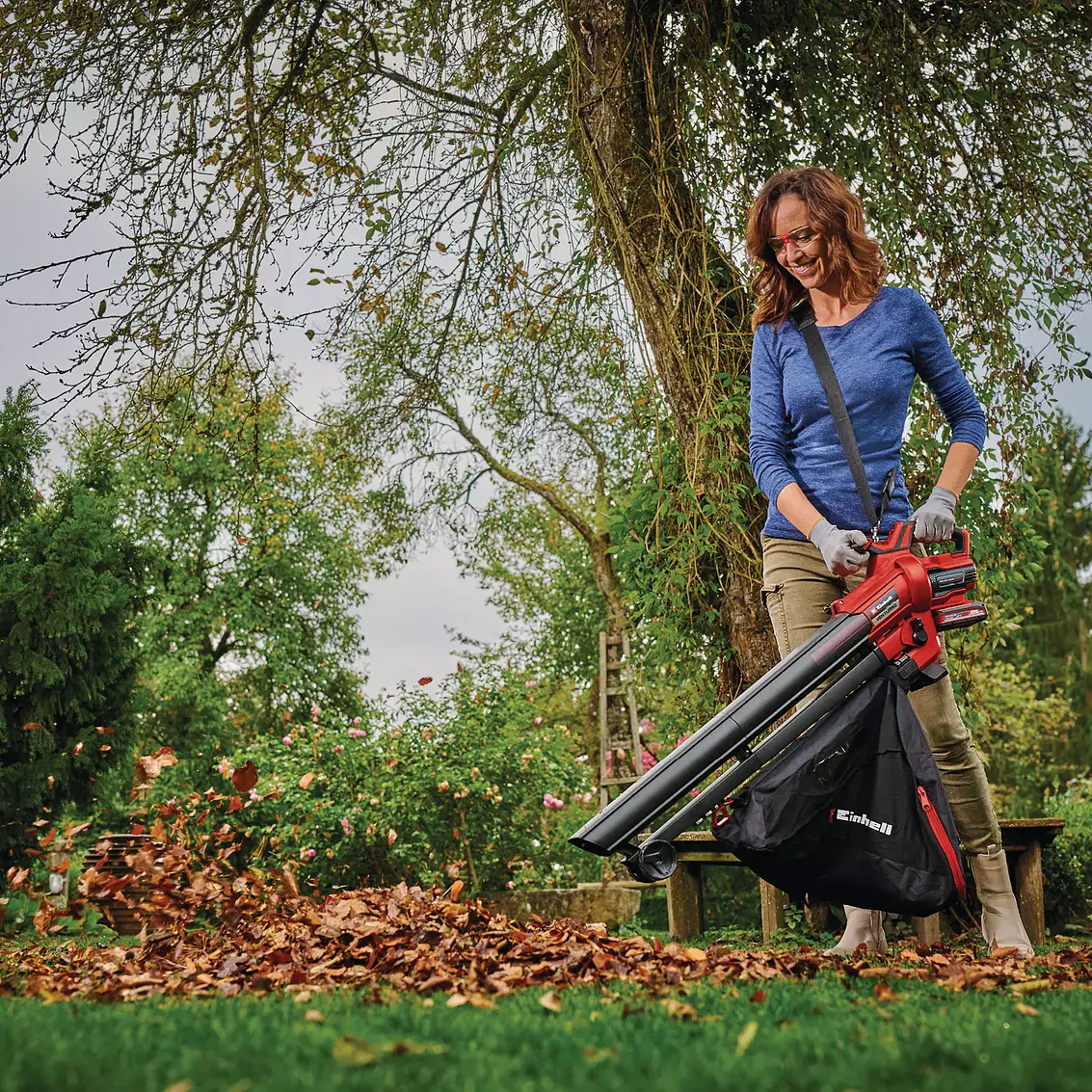 Aspirador De Hojas 18V 4