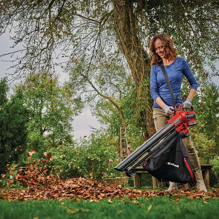 Aspirador De Hojas 18V 4