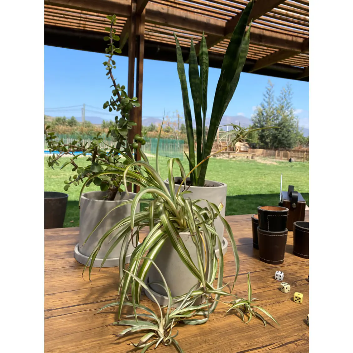 Macetero 15X15 Cilindro Cemento Con Plato 3