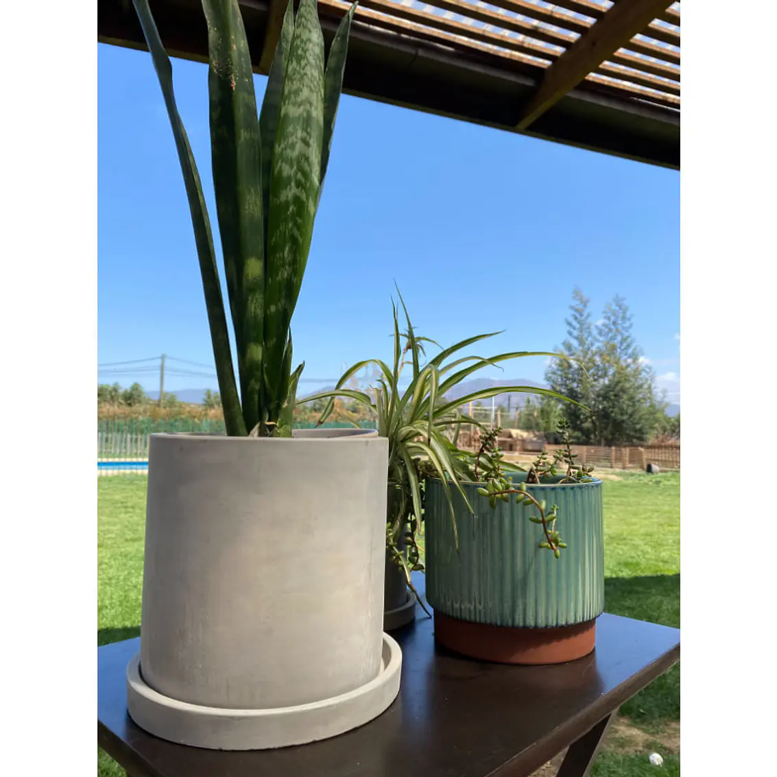 Macetero 18X18 Cilindro Cemento Con Plato 4