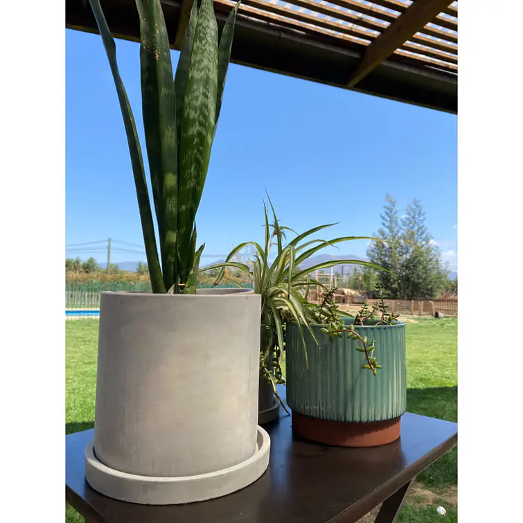 Macetero 18X18 Cilindro Cemento Con Plato 4